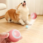 Electric Smart Ball Toys for Pets